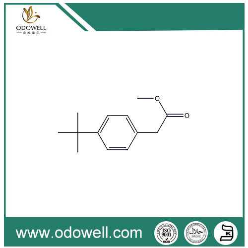 Metil P-terc-butilfenilacetat