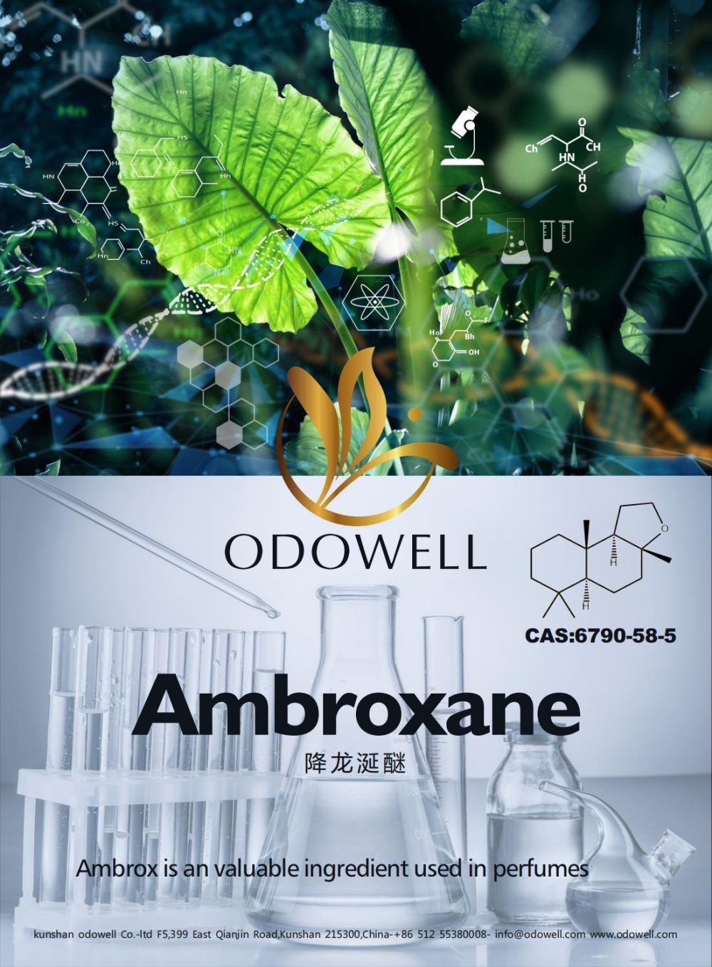 Odowell praznuje uspešno leto za Ambroxane (Ambrox)