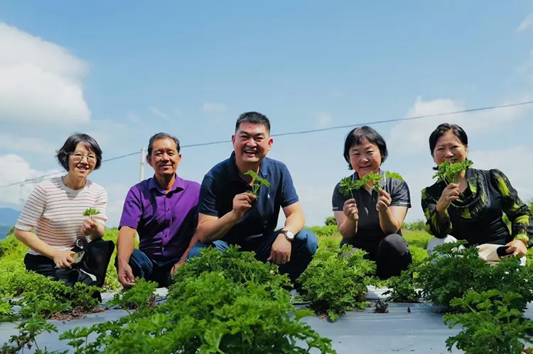 Odowell's Yunnan Research and Studies Tour avgusta 2025