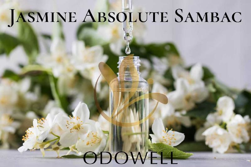​ODOWELL lansira Jasmine Absolute Sambac – vrhunski naravni jasminov absolut za parfume in lepoto