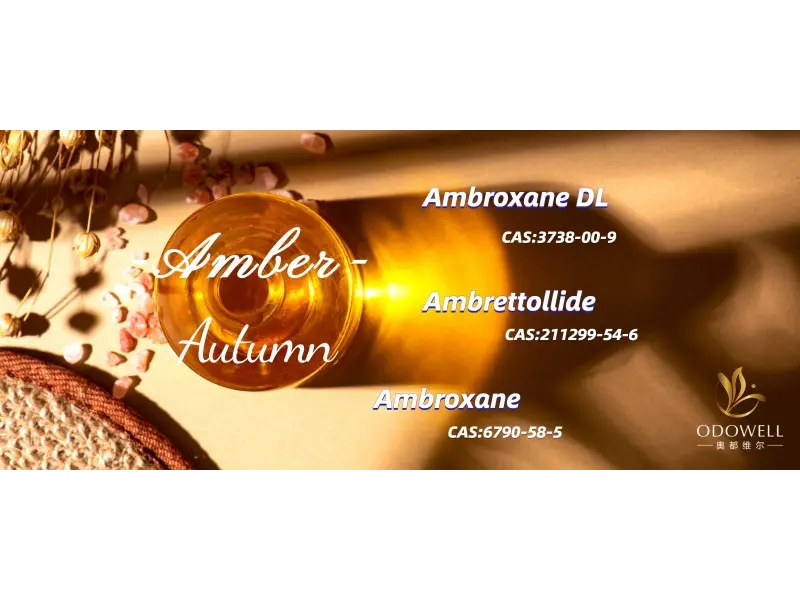 Kateri so najbolj spolno nevtralni vonji za leto 2025