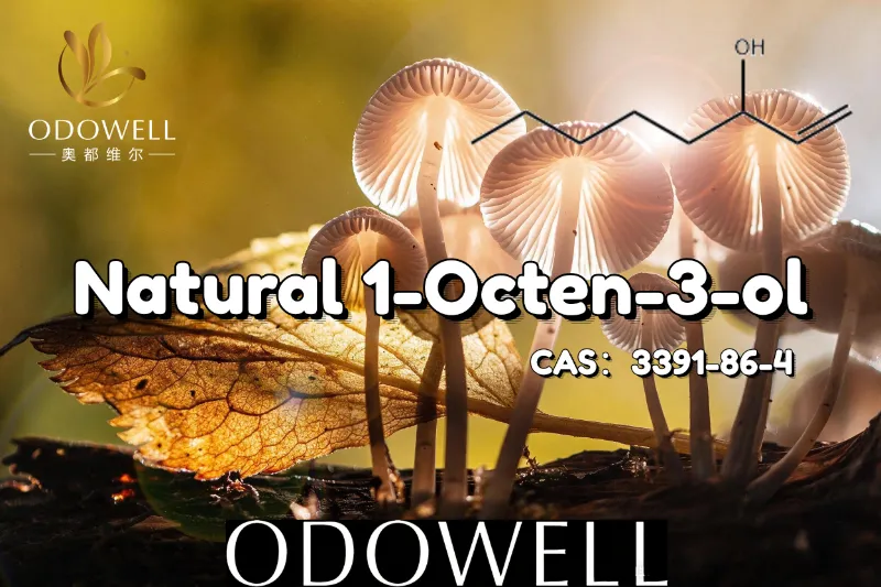 ​ODOWELL priporoča naravni 1-Octen-3-ol za aplikacije z okusom gob in zemlje