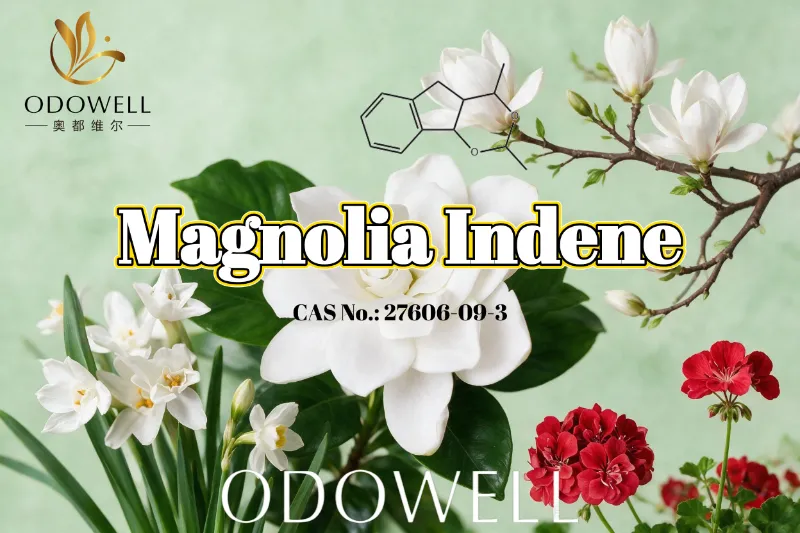 ODOWELL priporoča Magnolia Indene za sveže cvetlično-zelene in citrusne dišave